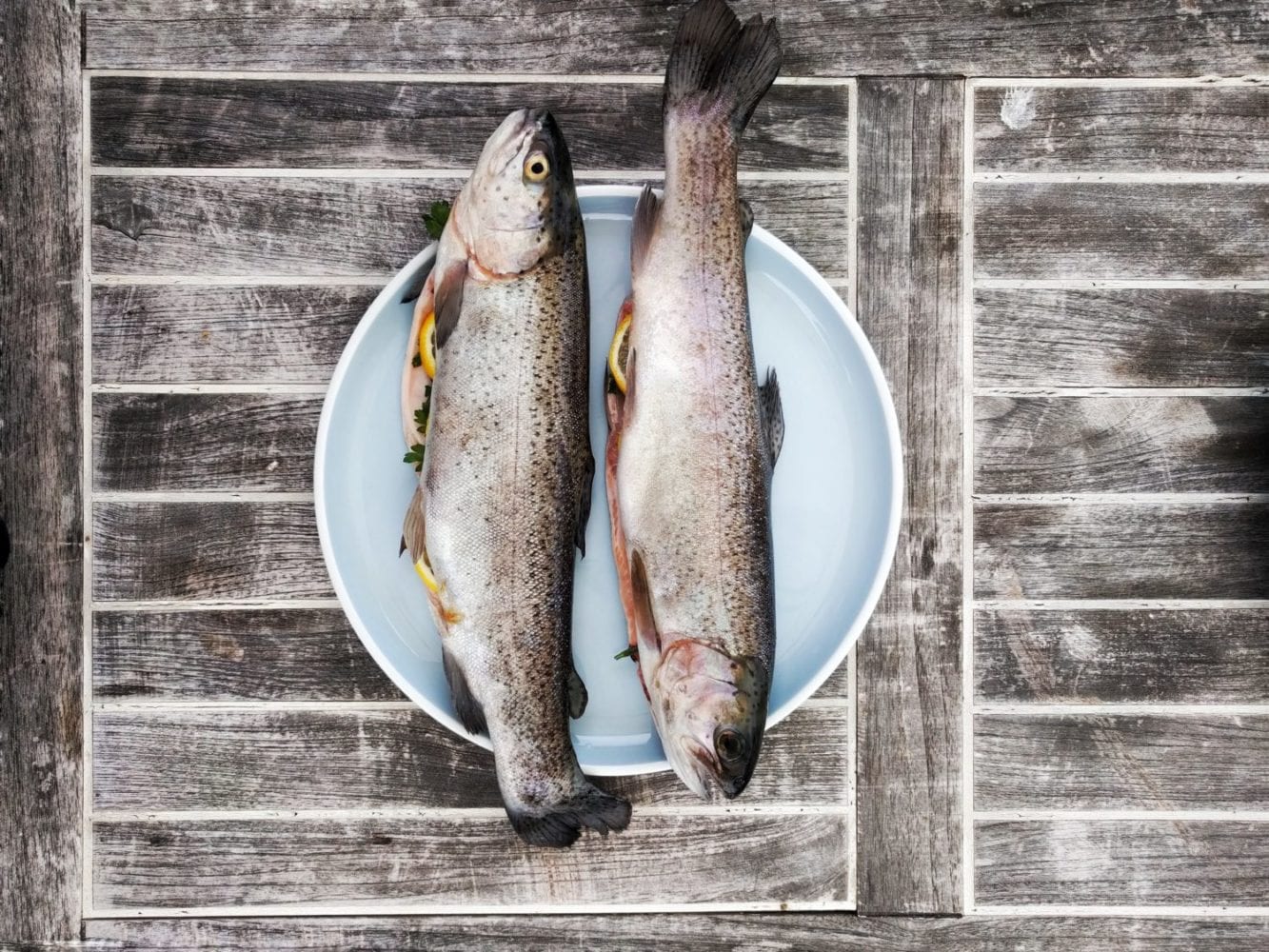 Top 15 des raisons de ne jamais bouffer de poisson, arrêtons les